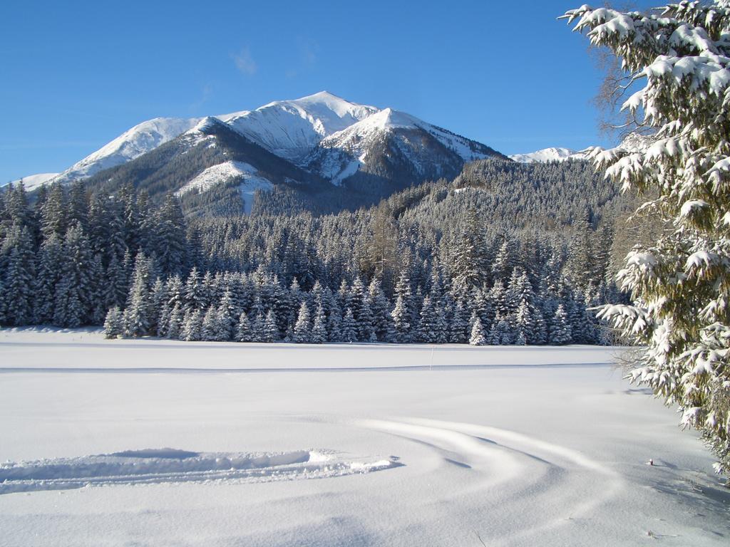 Gasthof Draxlerhaus โฮเฮนเทาเอิร์น ภายนอก รูปภาพ